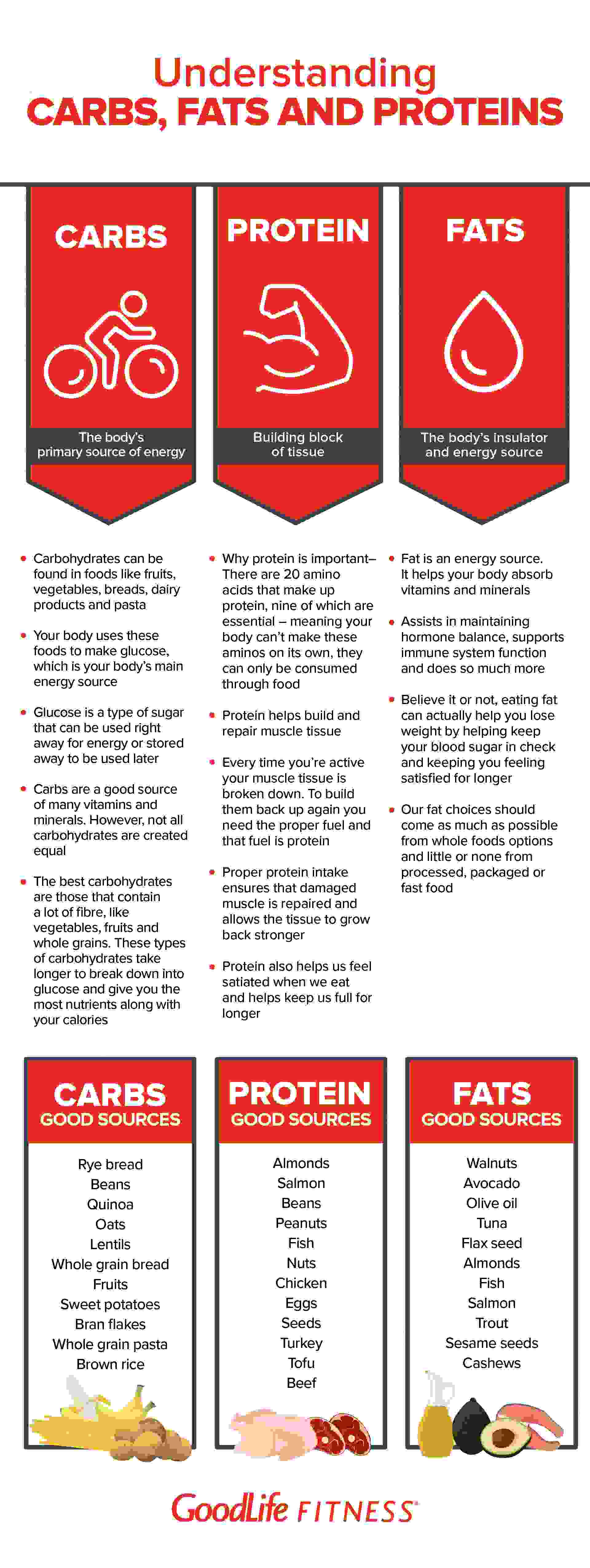 Understanding Carbs Fats And Proteins The GoodLife Fitness Blog